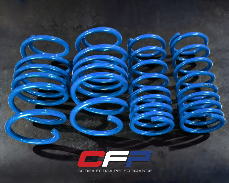 FIAT 500 Lowering Springs